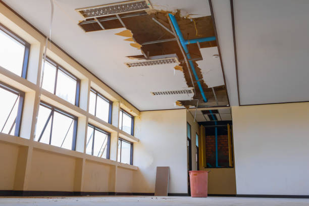 Best Water damage restoration near me  in Celina, OH