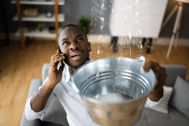 Best Ceiling water damage repair  in Celina, OH