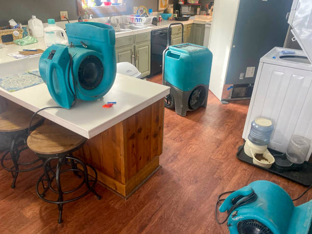 Best Emergency water damage restoration  in Celina, OH