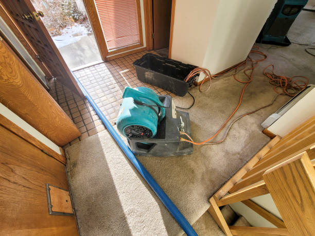 Best Fire Damage Restoration  in Celina, OH