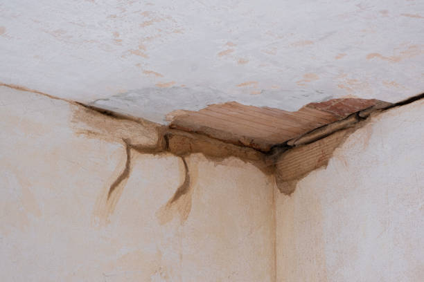  Celina, OH Water damage restoration Pros