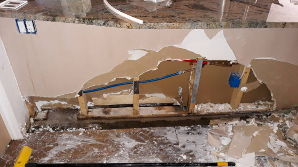 Best Basement water damage restoration  in Celina, OH