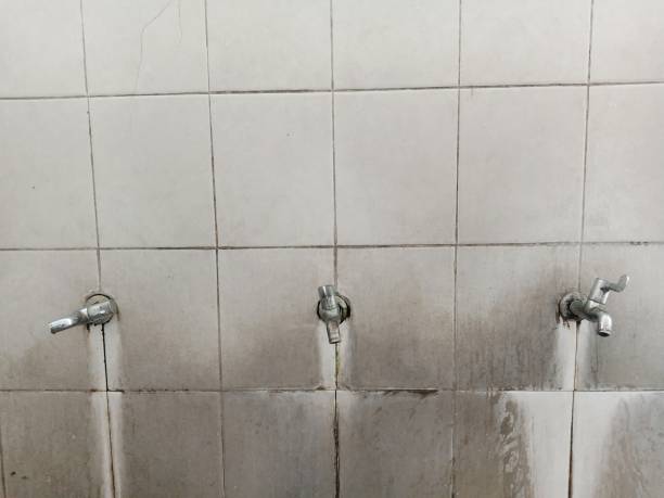 Best 24/7 water damage repair  in Celina, OH
