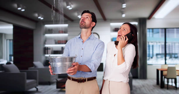 Best Water damage cleanup near me  in Celina, OH