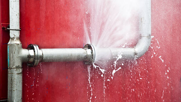 Best Flooded house restoration  in Celina, OH
